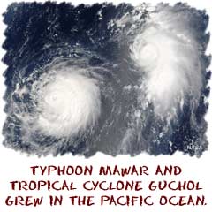 Typhoon Mawar and Tropical Cyclone Guchol