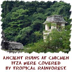 ancient ruins at chichen itza were covered by tropical rainforest