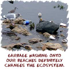 garbage washing onto the beaches changes the ecosystem