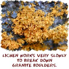 lichen work very slowly to break down rocks