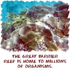 the great barrier reef is home to millions of organisms